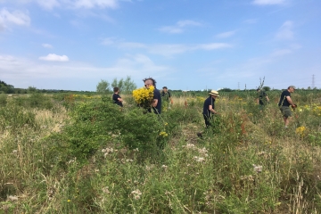 WWT Steart Marshes thanks its pandemic volunteer stars!